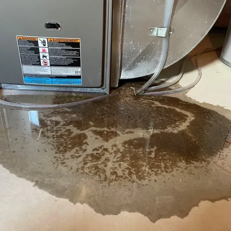 Appliance Leak Cleanup in Juno Beach, FL